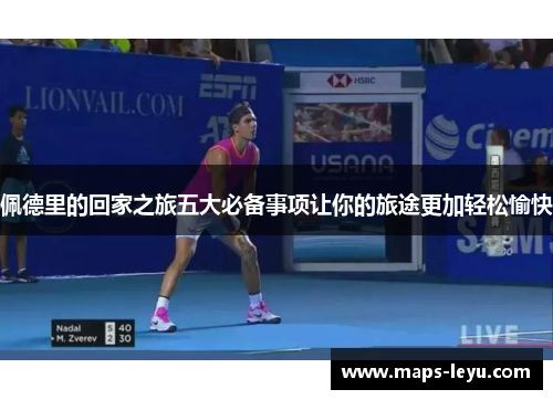 佩德里的回家之旅五大必备事项让你的旅途更加轻松愉快