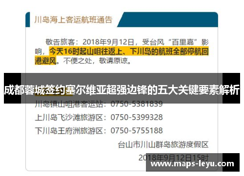 成都蓉城签约塞尔维亚超强边锋的五大关键要素解析