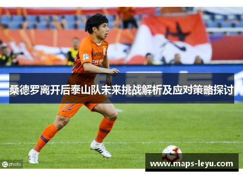 桑德罗离开后泰山队未来挑战解析及应对策略探讨