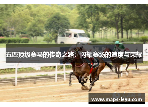 五匹顶级赛马的传奇之路：闪耀赛场的速度与荣耀