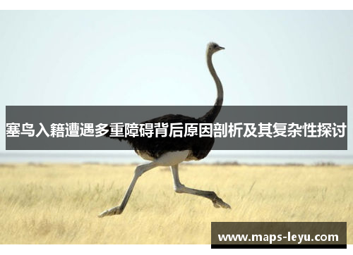 塞鸟入籍遭遇多重障碍背后原因剖析及其复杂性探讨