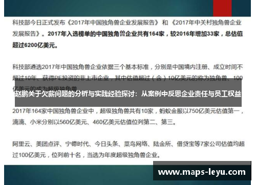 赵鹏关于欠薪问题的分析与实践经验探讨：从案例中反思企业责任与员工权益
