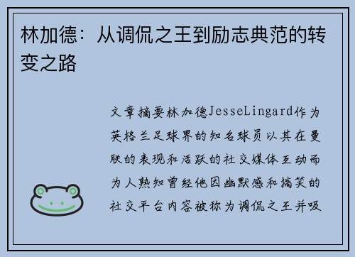 林加德：从调侃之王到励志典范的转变之路